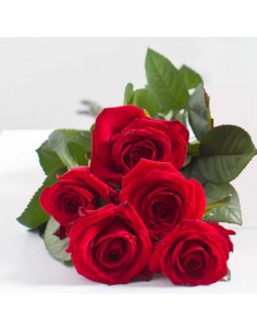 Fascio 12 rose rosse 2