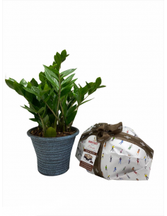 Papà goloso al cioccolato