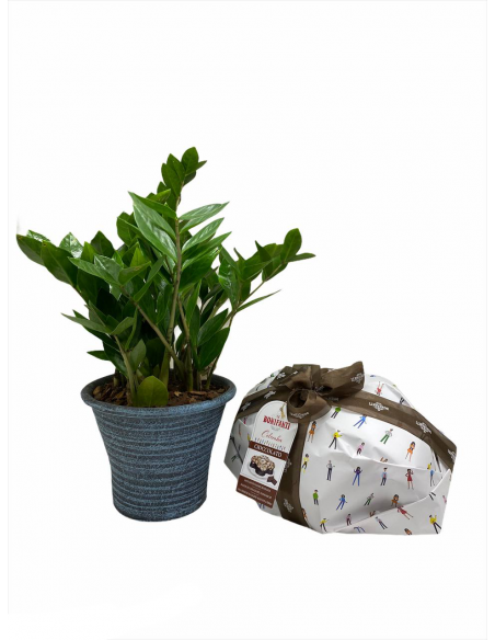 Papà goloso al cioccolato