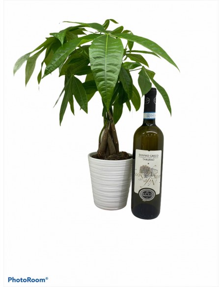 Papà gioioso bianco