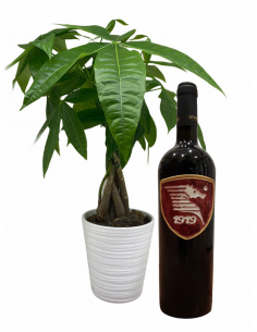 Papà gioioso granata