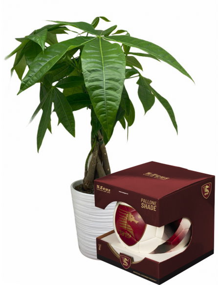 Papà sportivo granata