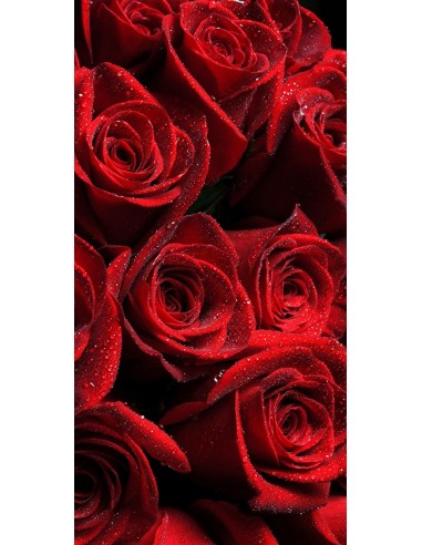 Fascio di Rose Rosse