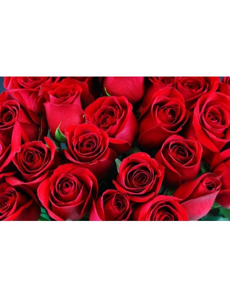 Fascio Rose Rosse