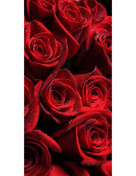Fascio Rose Rosse
