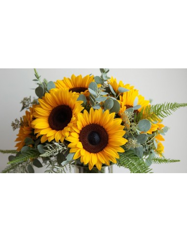 Girasoli e girasoli