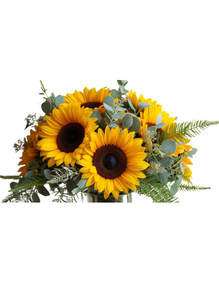 Girasoli e girasoli